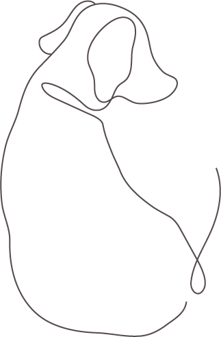 写真からその子の気持ちや想いを読み取るアニマルコミュニケーションのイメージ図