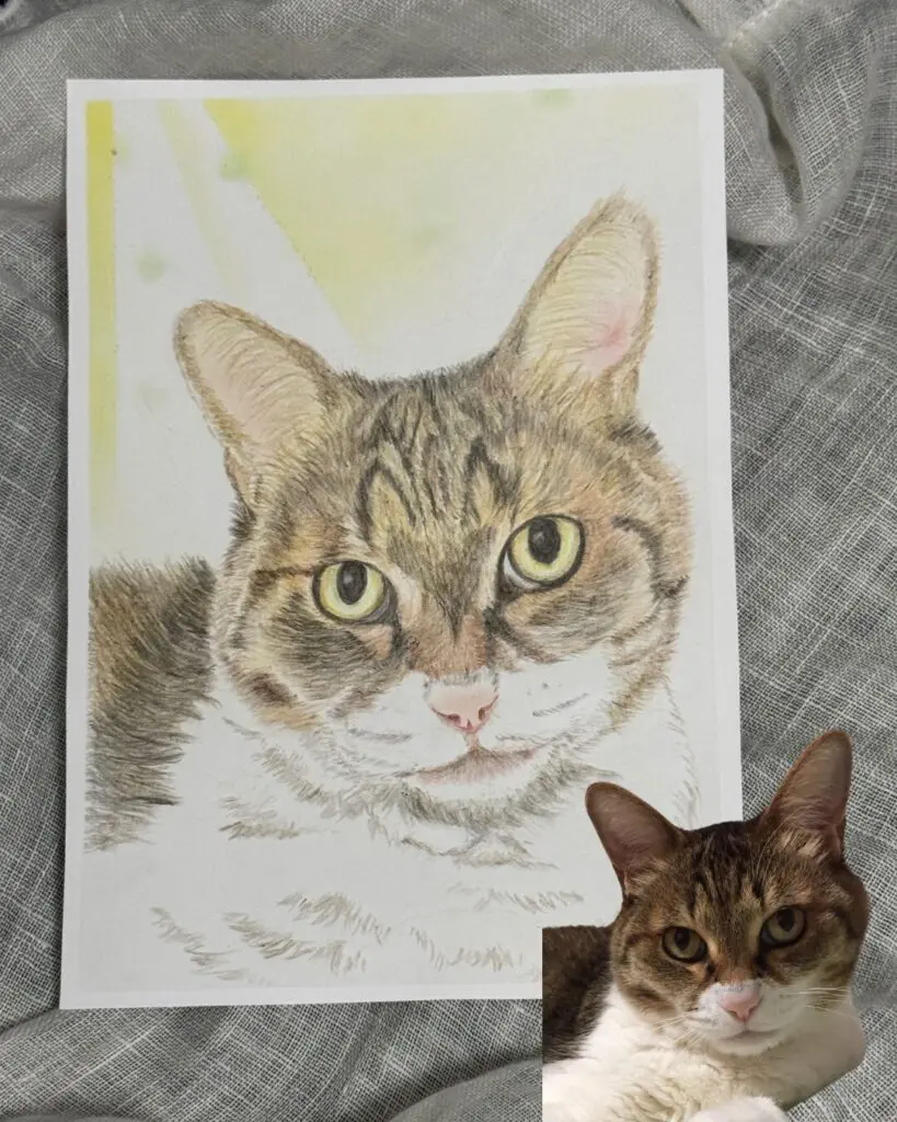 猫さんのヒーリングアートイメージ