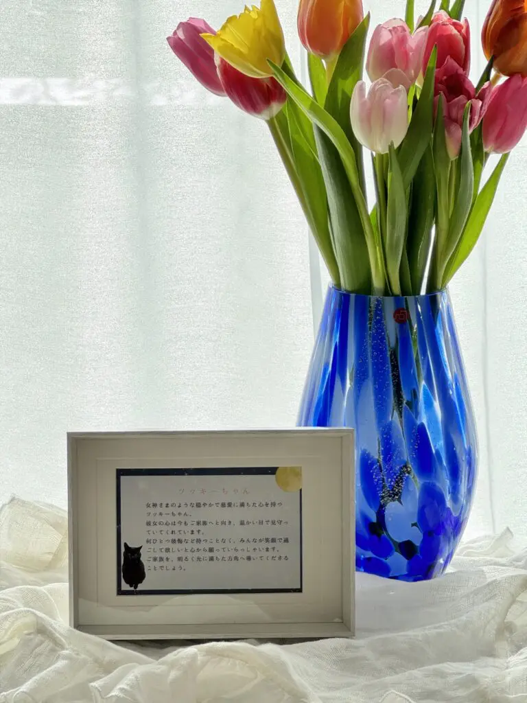 ポストカードを白いフレームに入れたイメージ写真